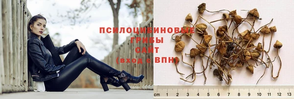 герыч Лагань