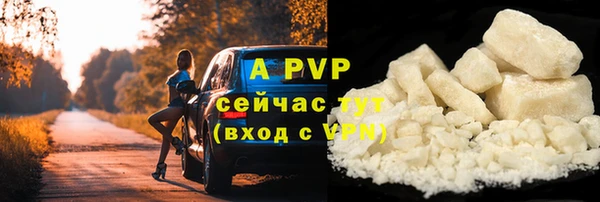 эйфоретик Ладушкин