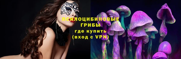 герыч Лагань