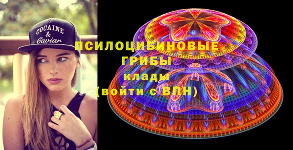 соль ск Нижний Тагил