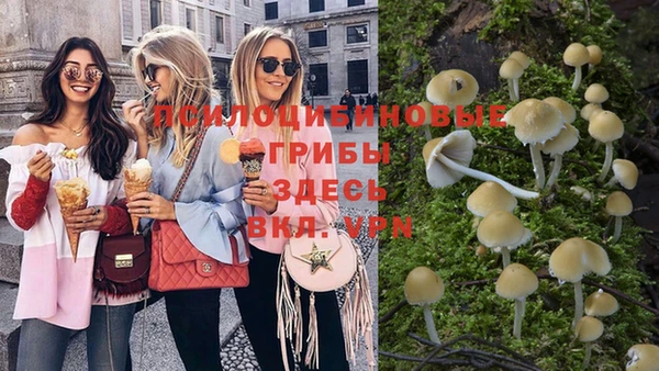 таблы Лабытнанги
