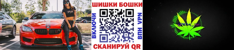Шишки марихуана конопля  что такое наркотик  Павловская 